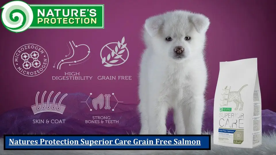 true care dog food