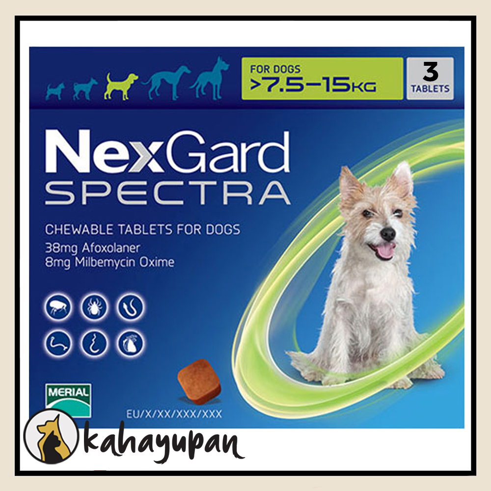 Nexgard shop mange treatment