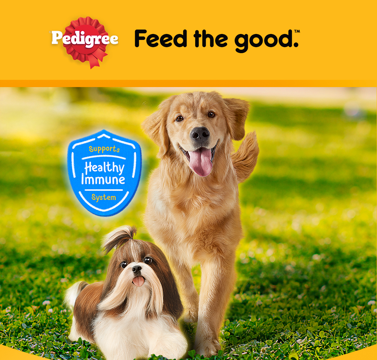 Pedigree puppy best sale food coupons