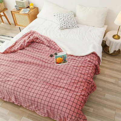 Mini Home Textiles Double Layers Smooth As Milk Blanket Throw Plush Warm Sleeping Blanket for Autumn Winter Blanket (3)