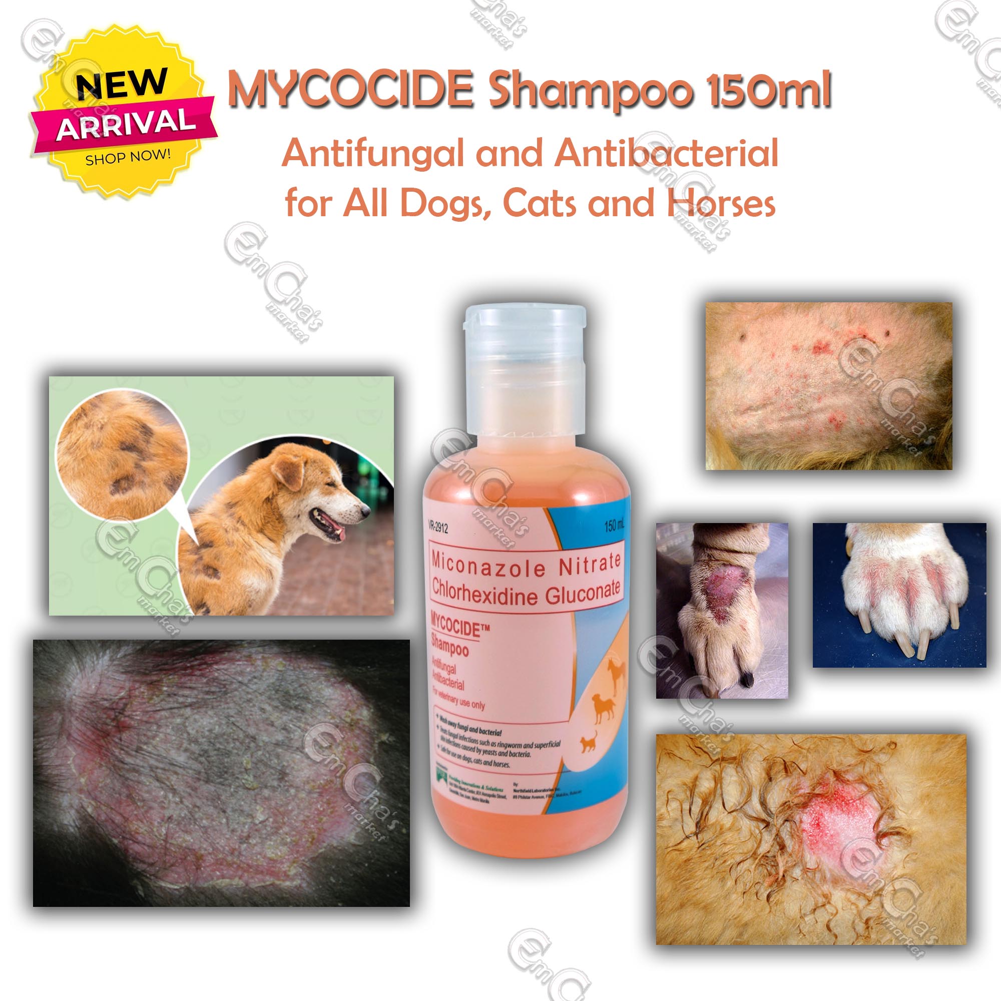 Mycocide shampoo 2025 for mange