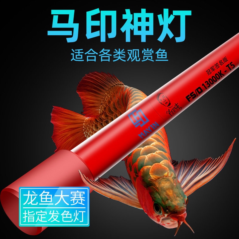 Shop Arowana Special Light with great discounts and prices