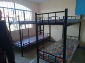 double deck bed single size set with dura bed foam