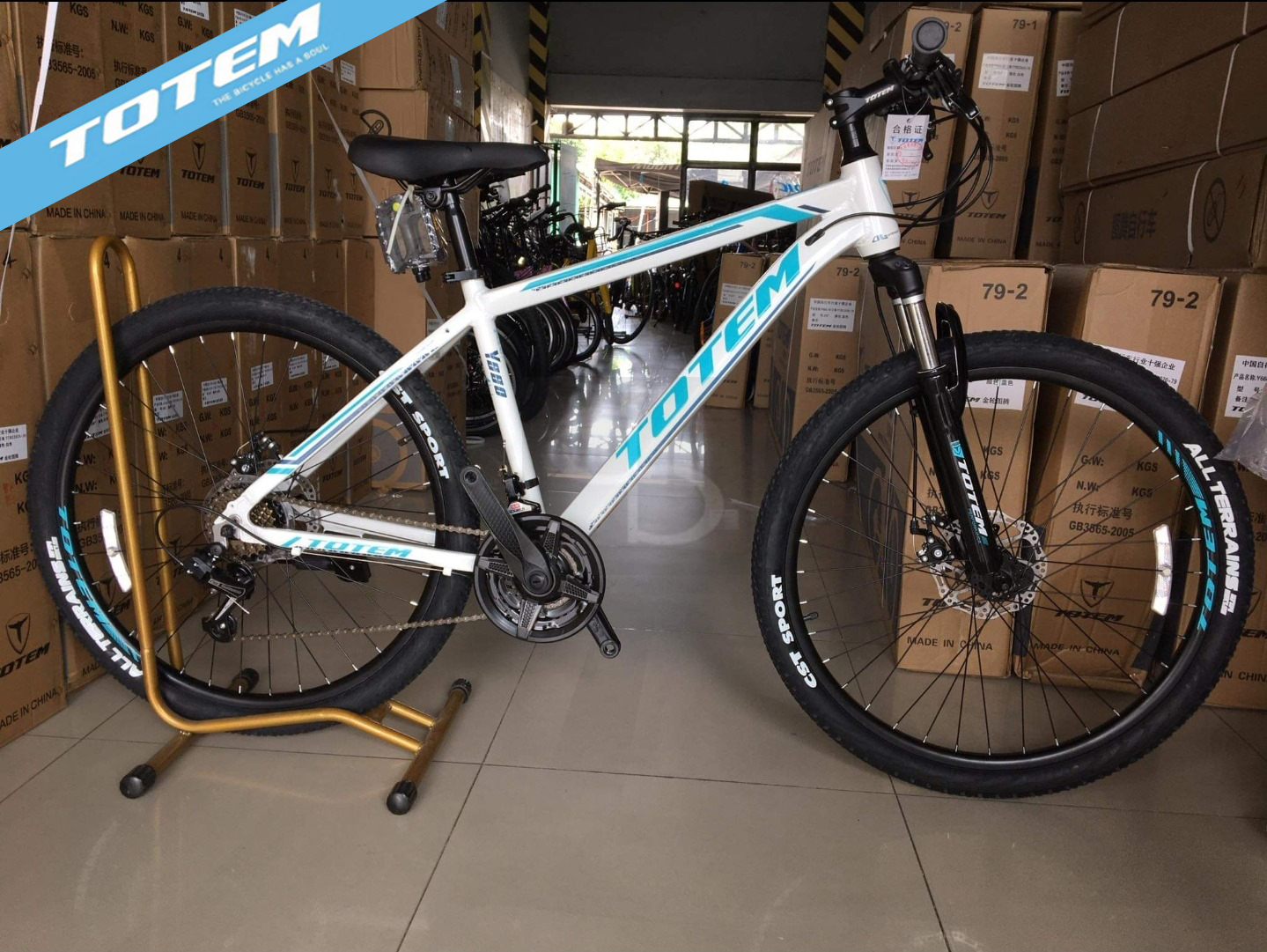 Totem 2025 cycle price