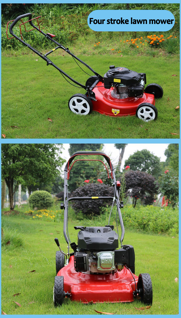 Grass Cutter Gasoline Original Grasscutter Stroke Sale Lawn
