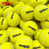 Durable Elastic Tennis Balls for Adult Fitness - Wilson