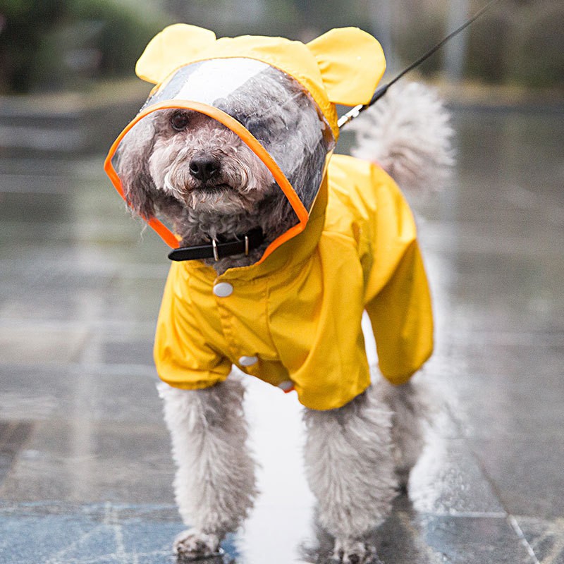 rain jumpsuit transparent