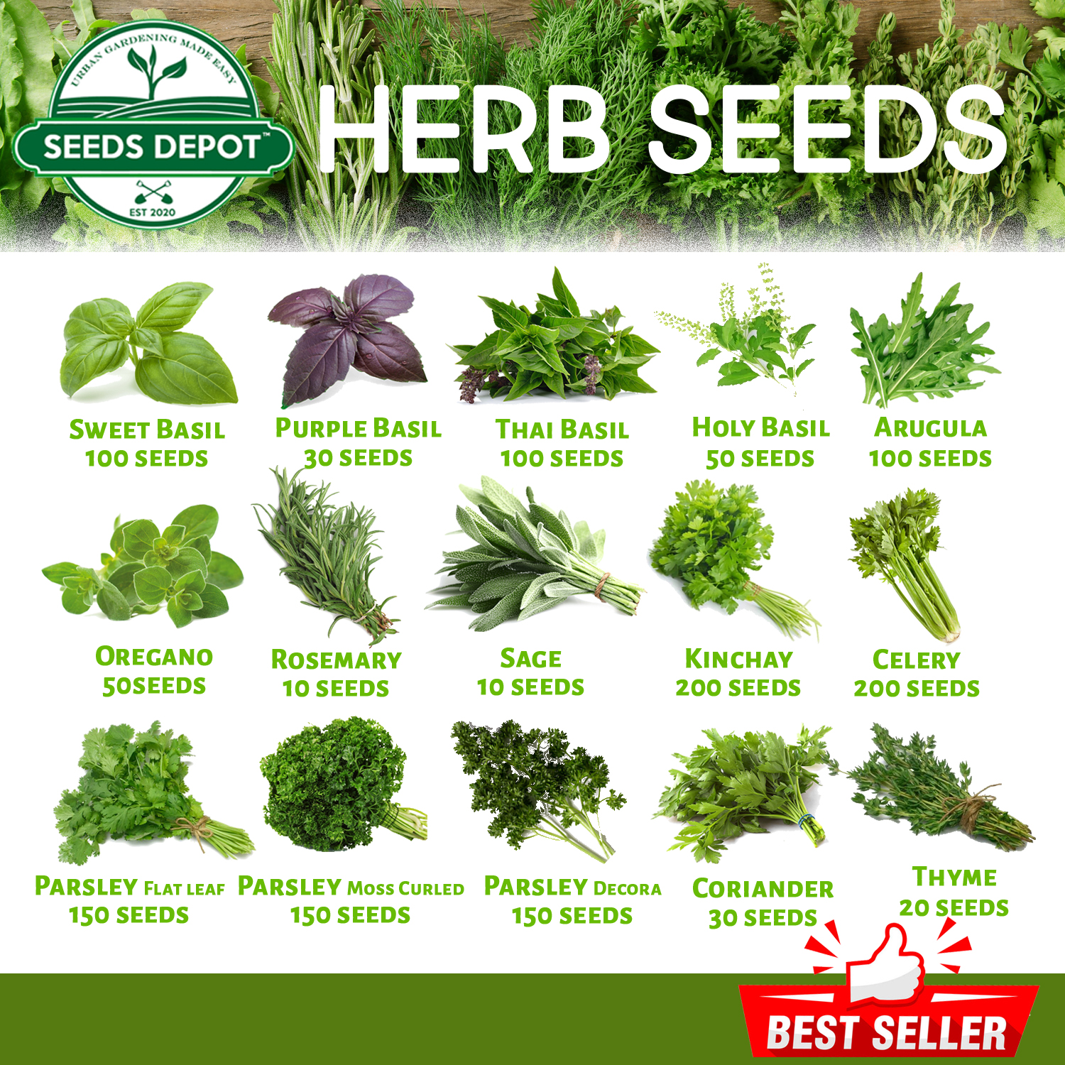 Herb Seeds - Basil Rosemary Oregano Thyme Sage Celery Kinchay Basil Parsley Mint Borage Coriander Arugula Hyssop Herbs