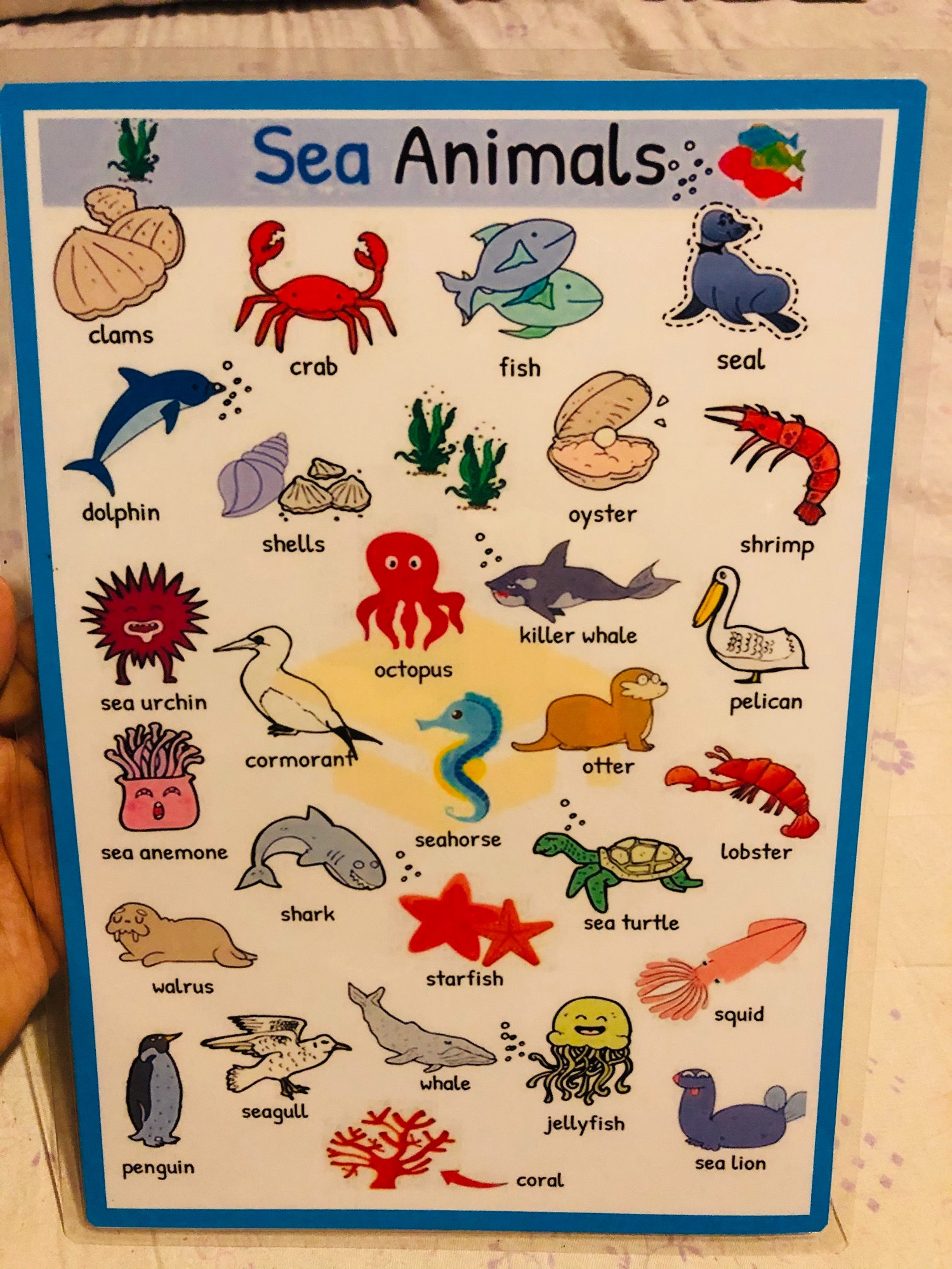 Shop Sea Animals Chart with great discounts and prices online - Aug 2022 |  Lazada Philippines