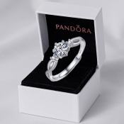 Pandora Inspired Ring Adjustable Complete Set with Box Valentines Gift