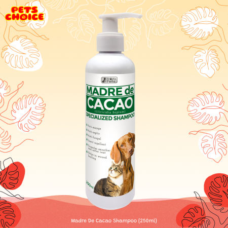 Madre de Cacao Dog Shampoo: Powerful Healing for Pets