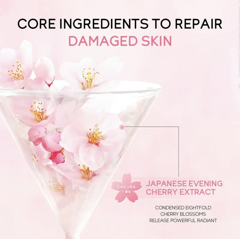 The Glo21 Japan Yaezakura Body Lotion with Niacinamide Ingredients  Niacinamide Sun Protection Lotion Fragrance-Free Travel Size Lotion Premium  Pink Body Lotion Single Item Body Care - Lazada | Lazada PH