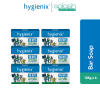 Hygienix Antibacterial Bar Soap with Moisturizer - 6 Pack