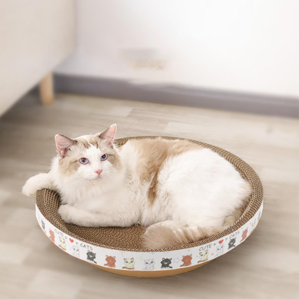 磊 Top 10 Best Cat Scratchers of 2024