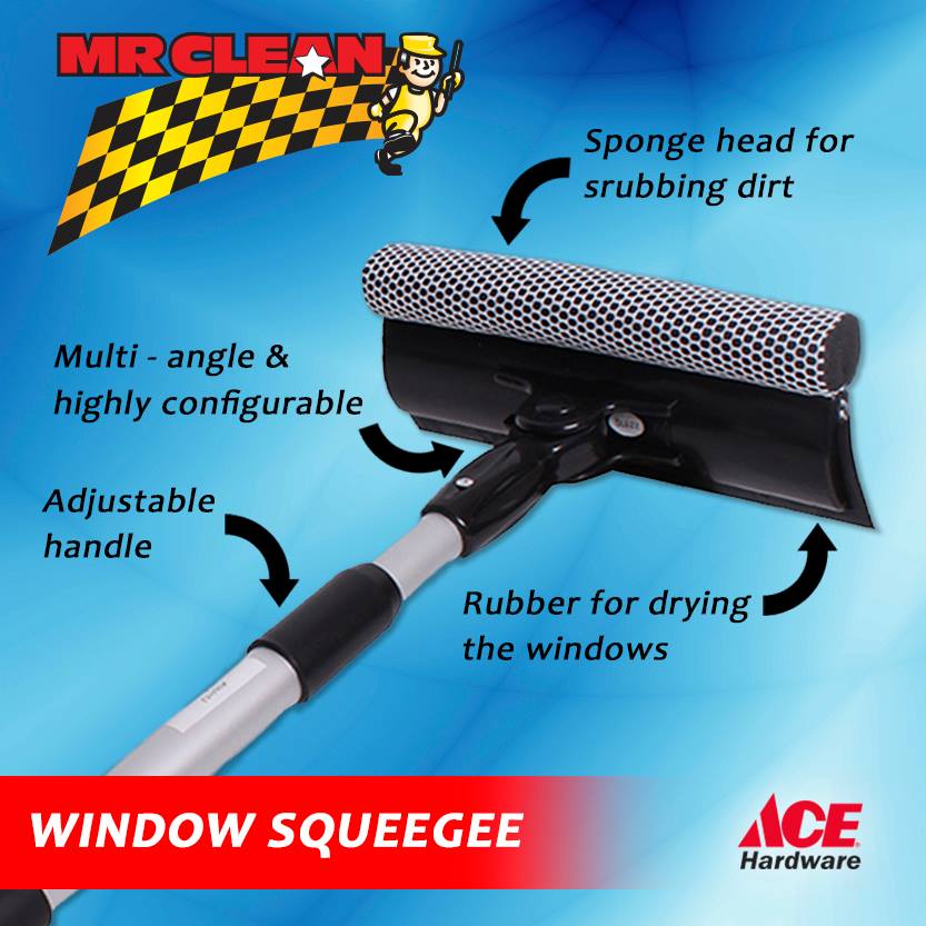 Mr Clean Squeegee