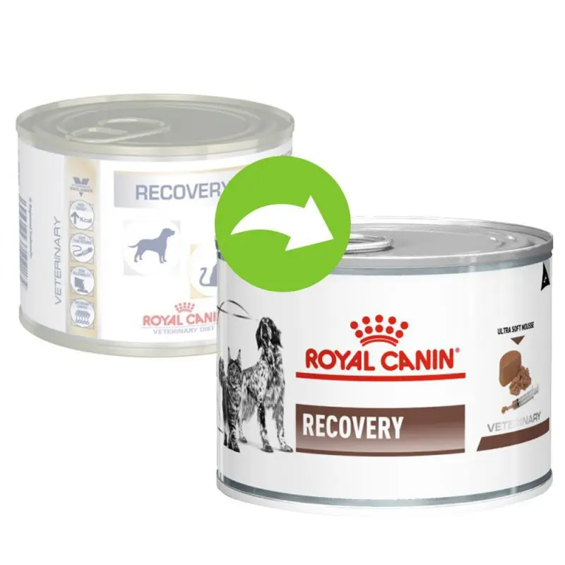 royal canin recovery cat