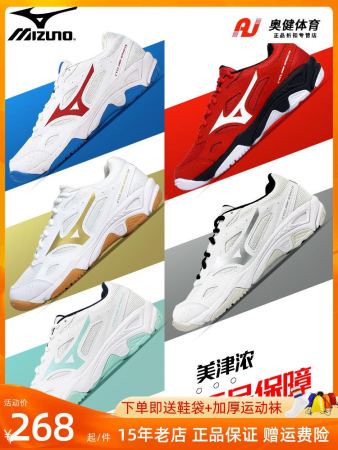 Mizuno Air Volleyball Shoes - Men's and Women's Training Shoes