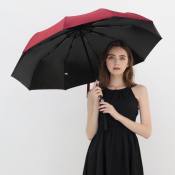 SKY PHIL UV Coated Windproof Umbrella