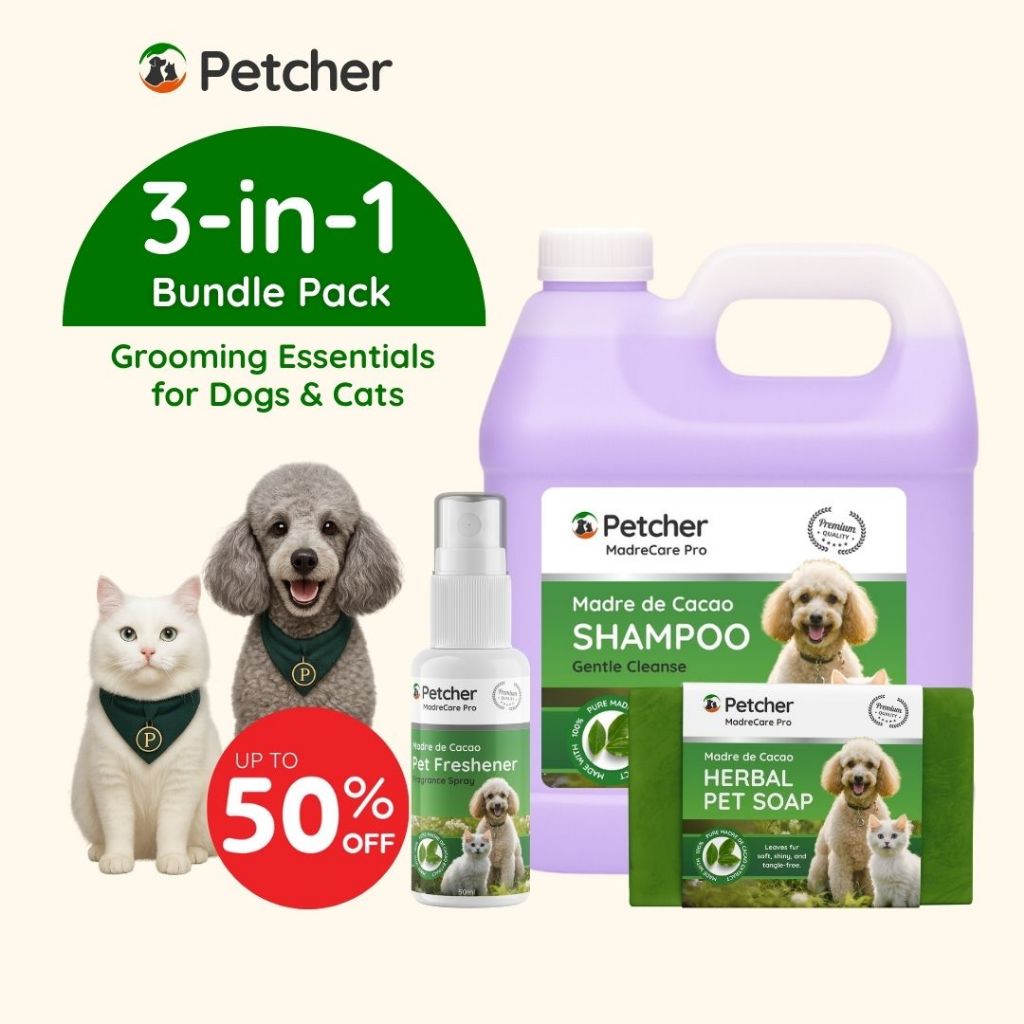 Shop Pawfriends Petguard Shampoo Cheap – Fast Easy Lazada