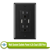 Powerlong PH Dual USB Port Wall Socket Adapter, 220V 15A