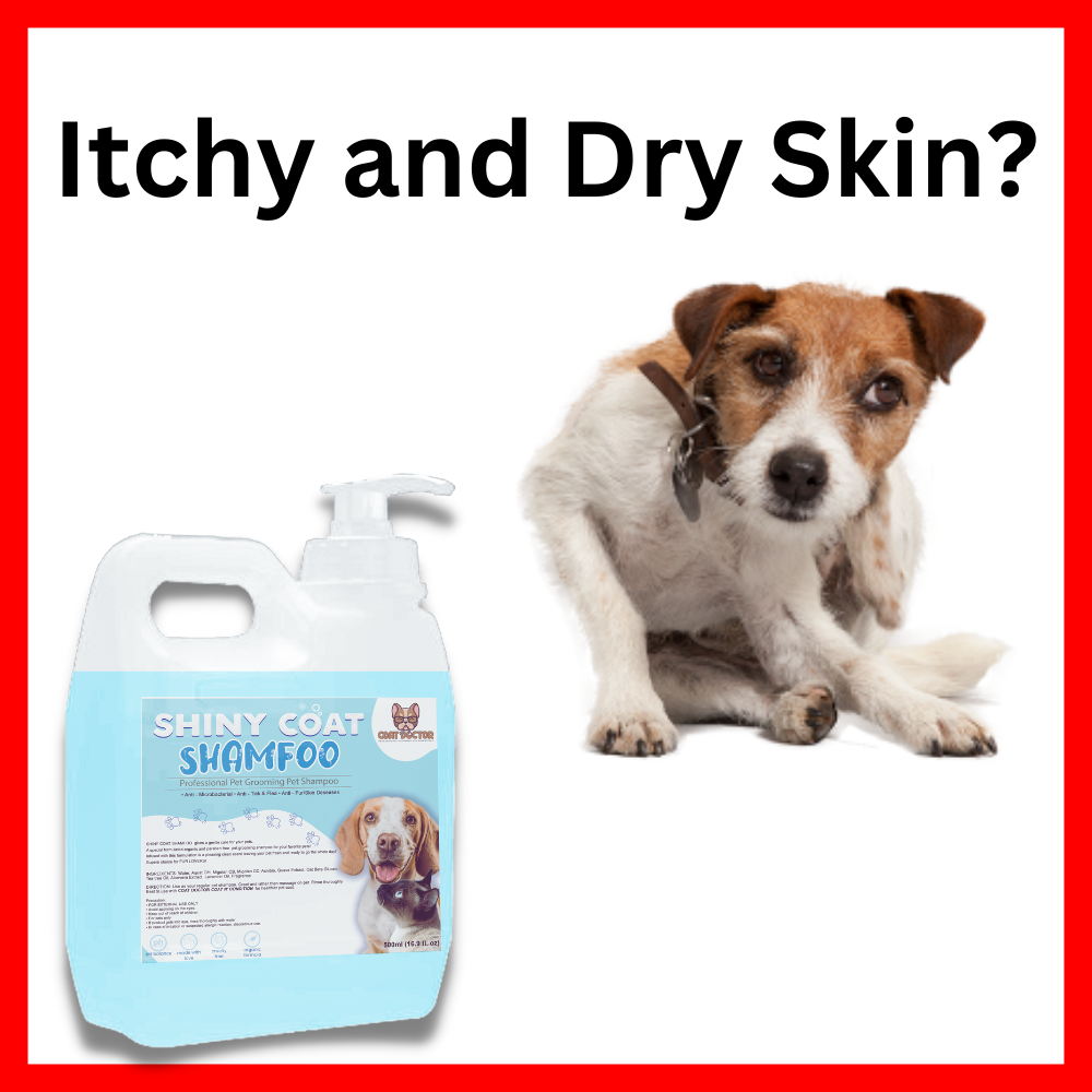 Best dog shampoo for shiny clearance coat