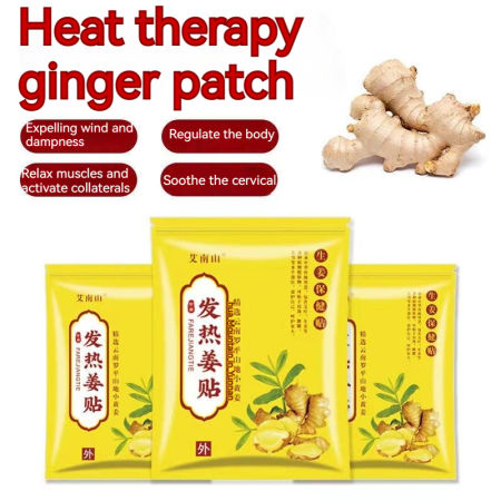 Ginger Patch for Pain Relief - Salonpas Ginger (50/100pcs)