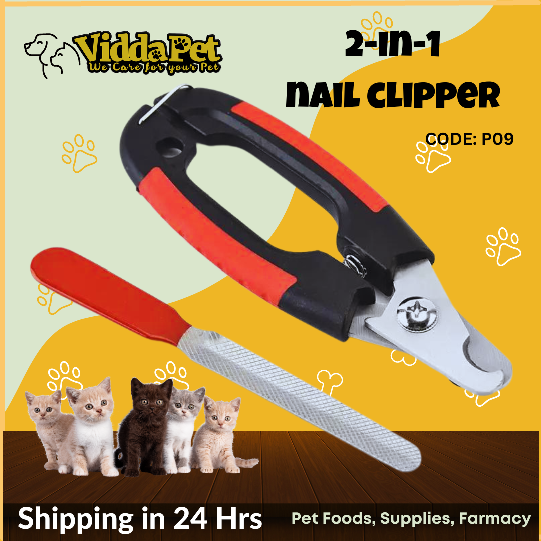 Top 172+ dog nail grinder with guard songngunhatanh.edu.vn