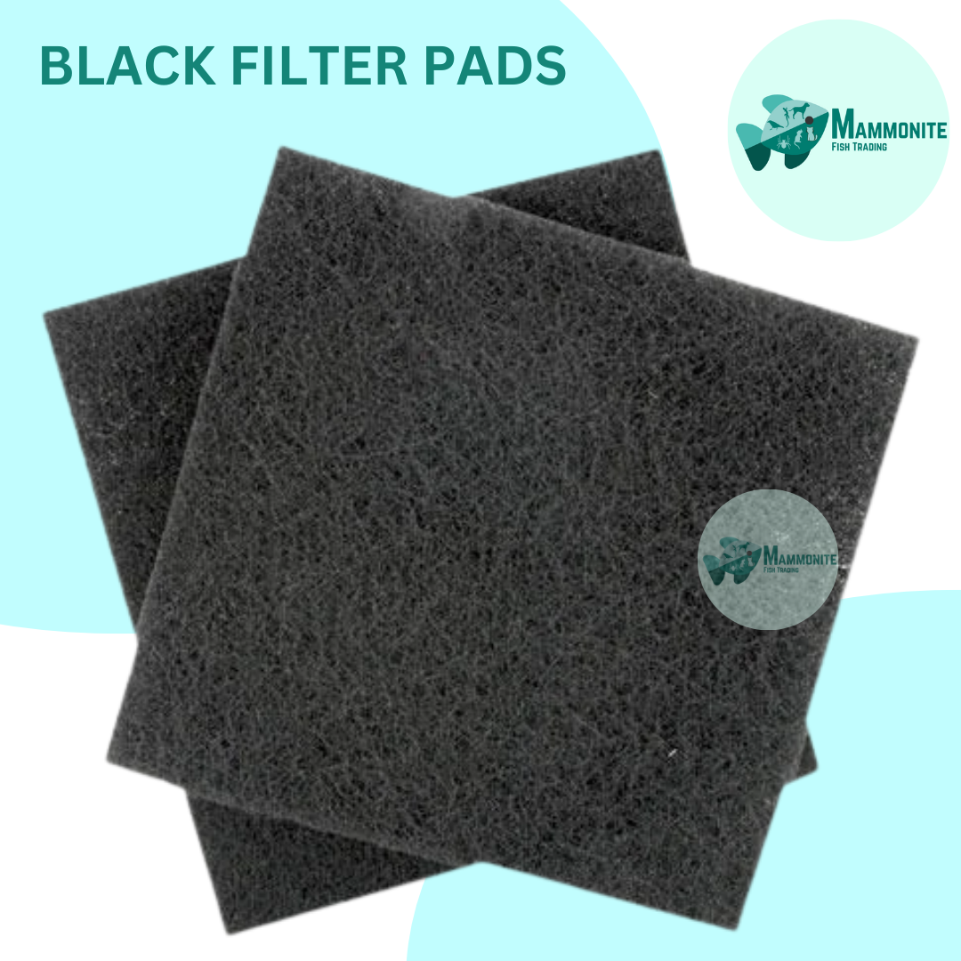 Filter Pads Filter Mat Filter Wool Biological Filter Foam Pond Aquarium Fish Tank Sponge Pad 50cm x 50cm Lazada PH