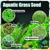 Aquatic Grass Seed for Quick Aquarium Landscaping Decor