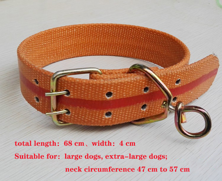 extra large dog collar