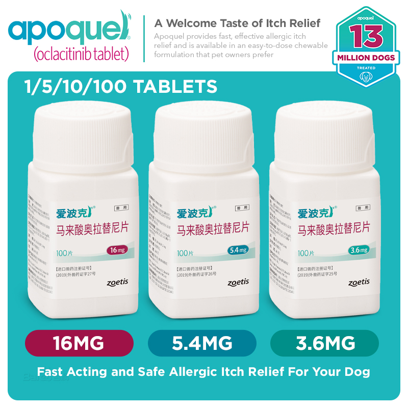 Viên apoquel cho chó 3.6mg 5.4MG 16mg chó cưng viêm da dị ứng ngứa