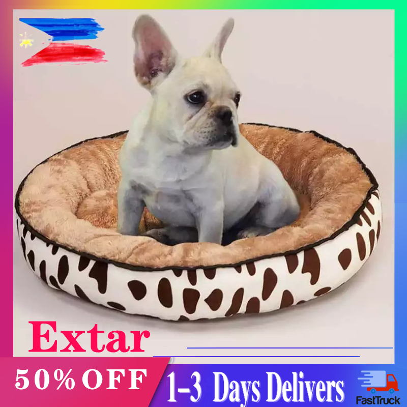 super cheap dog beds