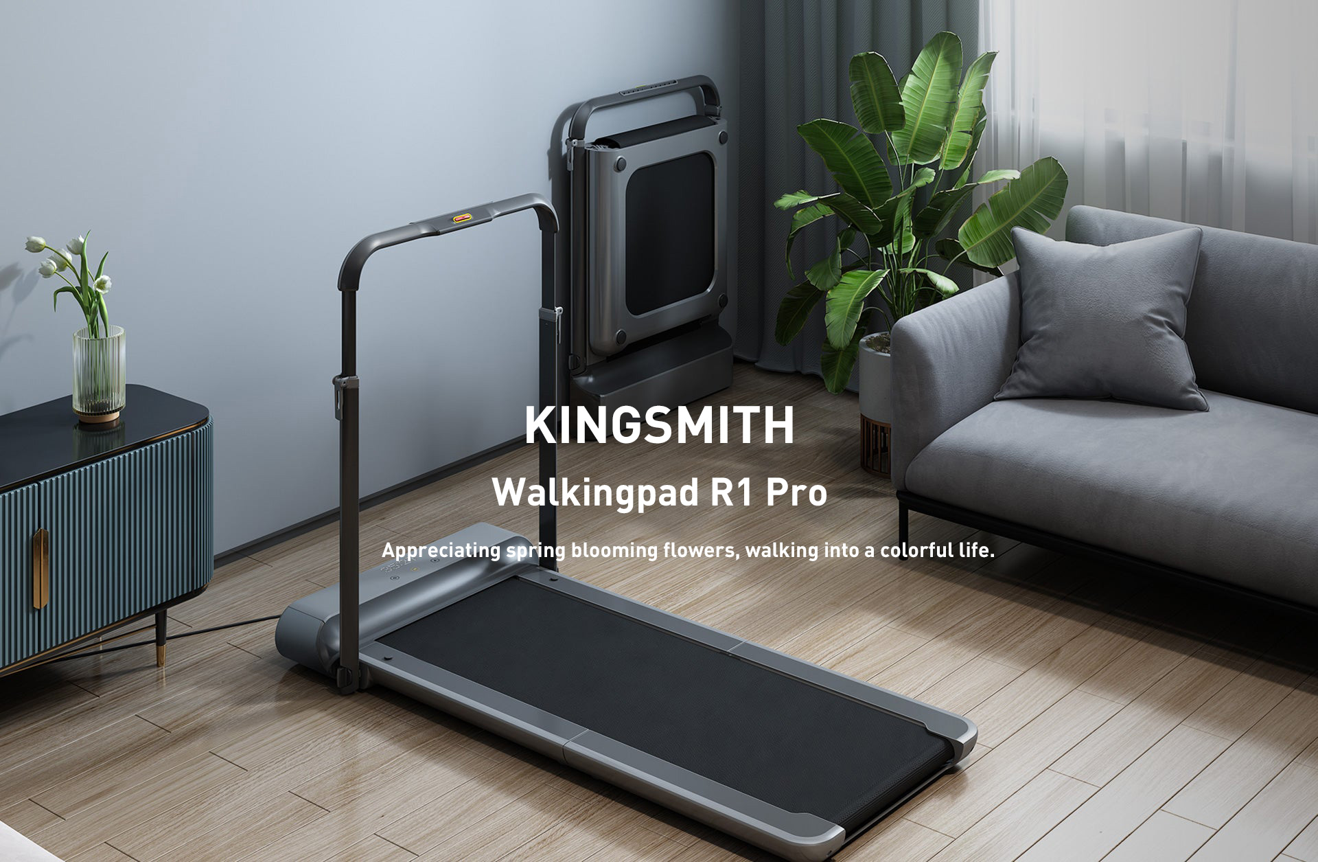 Treadmill R1 Kingsmith Walkingpad R1 Pro Manual KingSmith