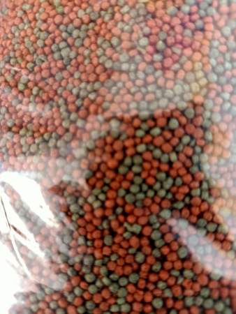 Tropical Fish Food Pellets Small 1KG for cleaner Aquarium