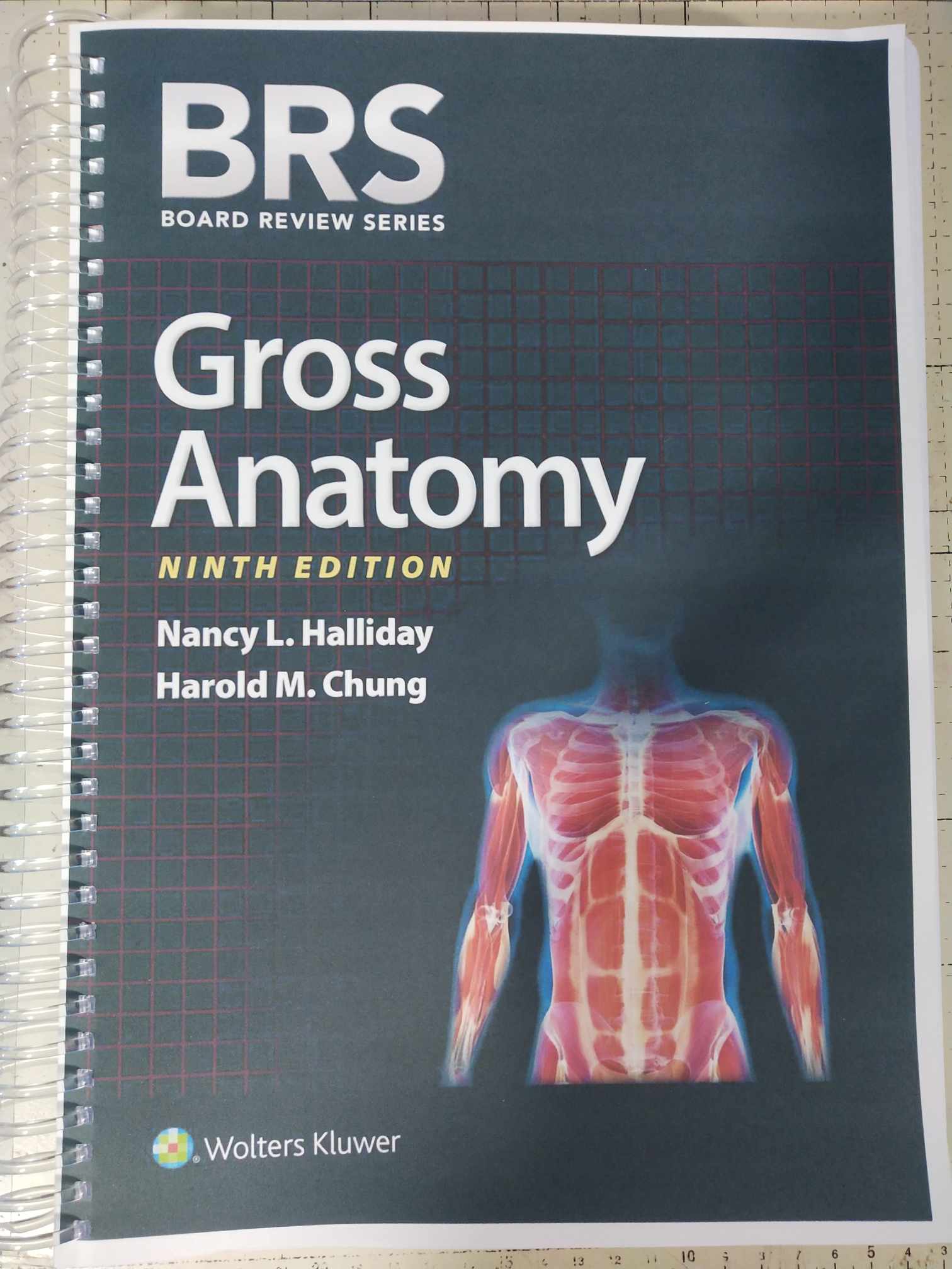 BRS Gross Anatomy 第9版 BRS Gross Anatomy (Board Review Series): 9781975181376