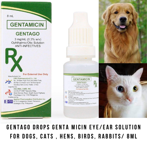 Can You Give Human Ear Drops To Dogs