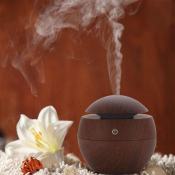 130ML Portable Essential Oil Diffuser & Air Purifier