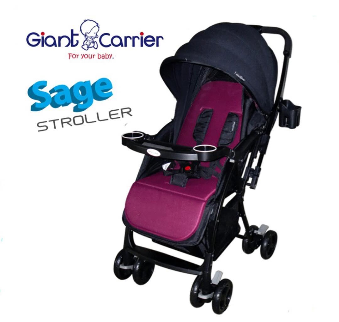 giant carrier grayson stroller