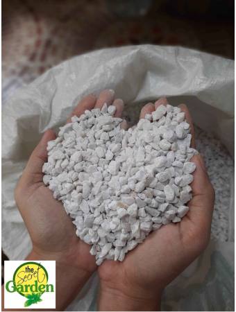 White Pebbles Stone for Indoor Plants - Size 10