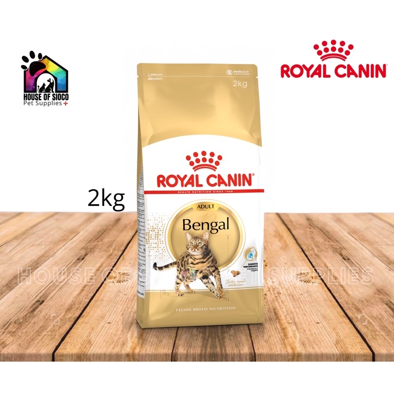 Bengal hotsell royal canin