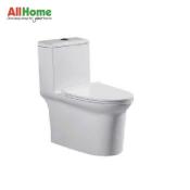 Brauhn Dual Flush Water Closet - Model 6679T