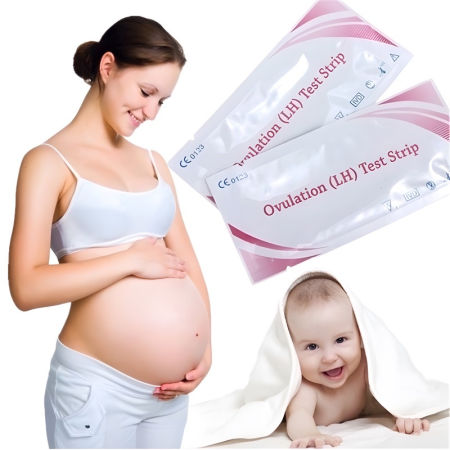 Babelovey Ovulation & Pregnancy Test Kit - HCG Urine Test