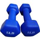 5 Lbs X 2PIECES lady dumbbell set exercise equipment workout equipment dumbbell men & women fitness equipment