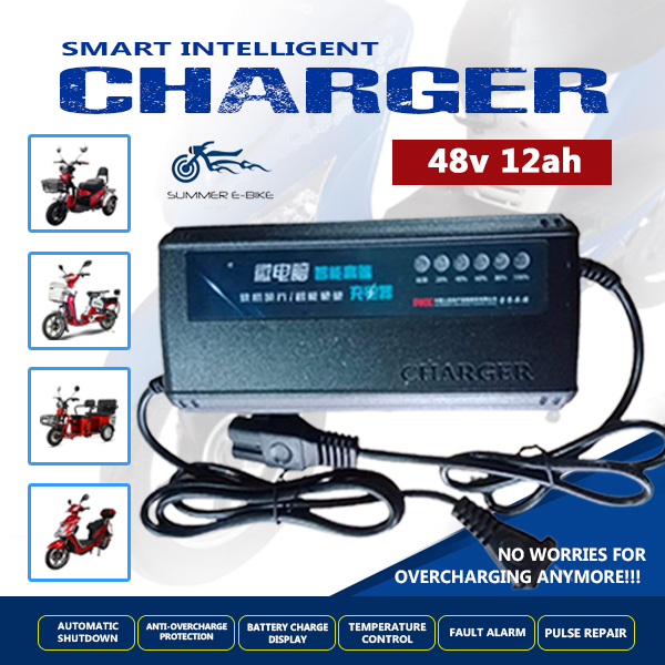 Ebike hot sale smart charger