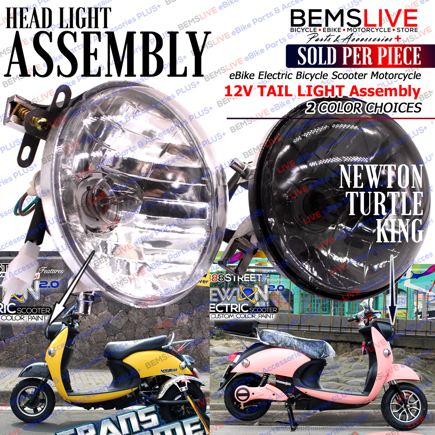 Shop Turtle King Ebike Online with Best Discounts and Low Prices - Main Image