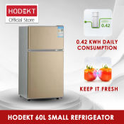 HODEKT 60L Mini Refrigerator with Strong Freezer Storage