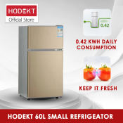 HODEKT 60L Mini Refrigerated Freezer - Energy Efficient Storage