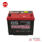 GS Battery Tropical Car Battery