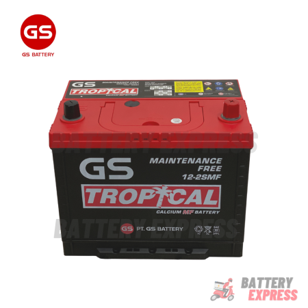 GS Battery Tropical Car Battery