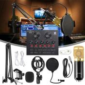 BM-800 Condenser Microphone Kit - Professional Karaoke Recording